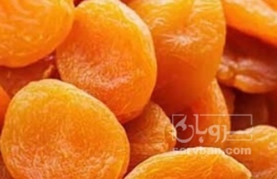 فروش برگه قیسی