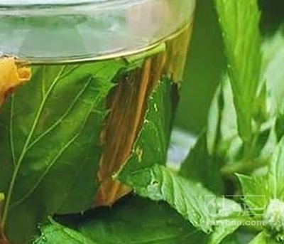 فروش عرق نعناع