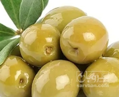 فروش زیتون