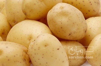 فروش سیب زمینی