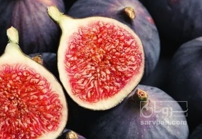 فروش انجیر