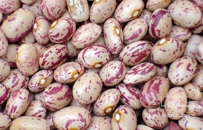فروش لوبیا چیتی