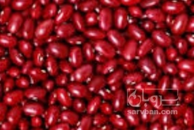 فروش لوبیا قرمز