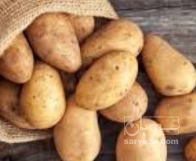 فروش سیب زمینی