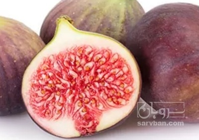 فروش انجیر