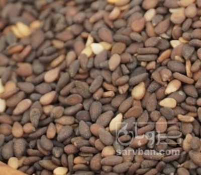 فروش کنجد