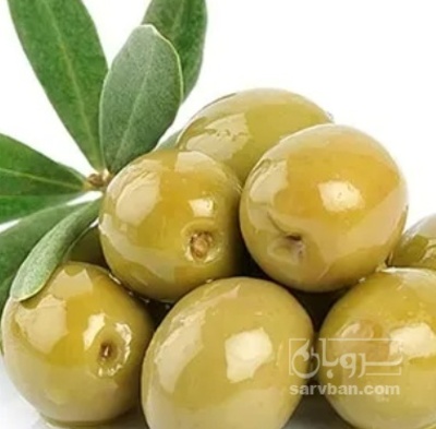 فروش زیتون