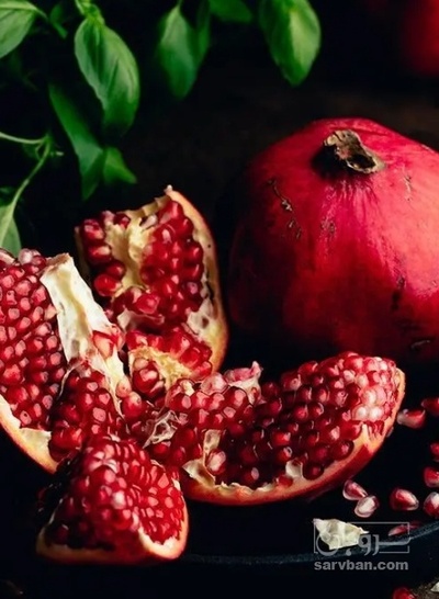 فروش انار