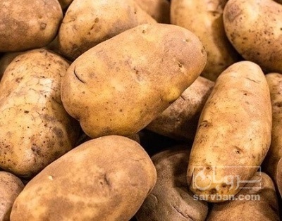 فروش سیب زمینی