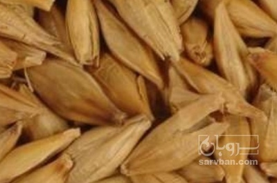 فروش جو