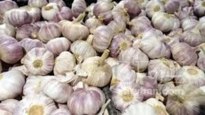 فروش سیر