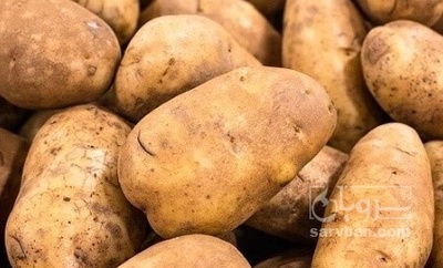فروش سیب زمینی | سروبان
