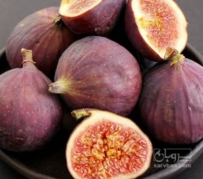 فروش انجیر