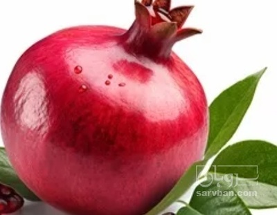 فروش انار