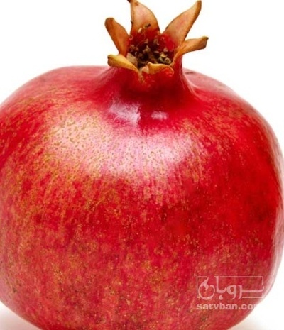فروش انار