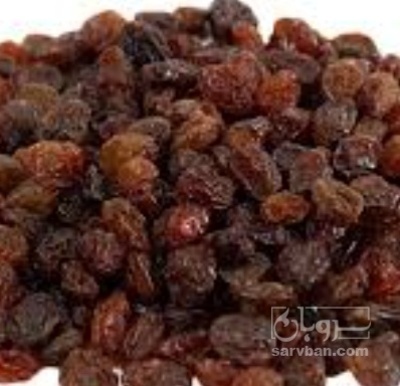 فروش کشمش افتابی