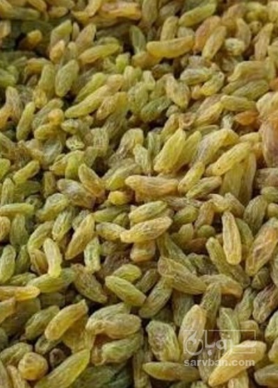 فروش کشمش کاشمری