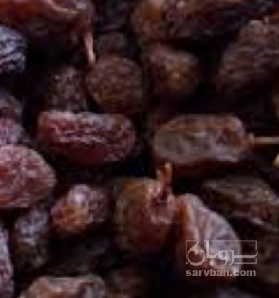 فروش کشمش ملکان