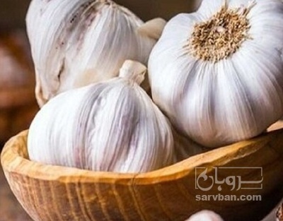 فروش سیر