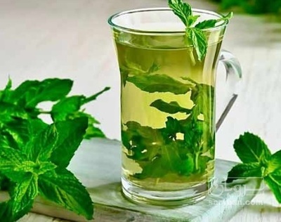 فروش عرق نعناع