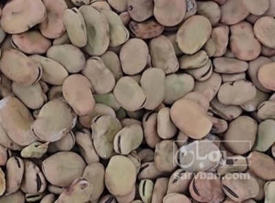 فروش باقلا تازه - باقالی - باقالا