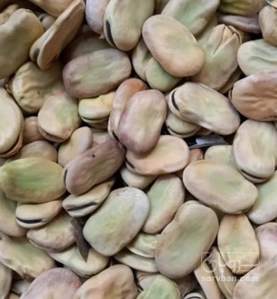 فروش باقلا تازه - باقالی - باقالا