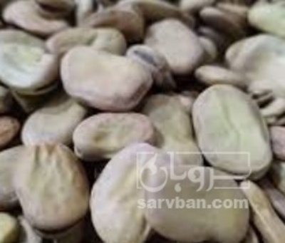 فروش باقلا تازه - باقالی - باقالا