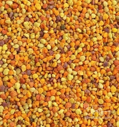 فروش گرده گل