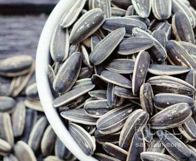 فروش تخمه آفتابگردان