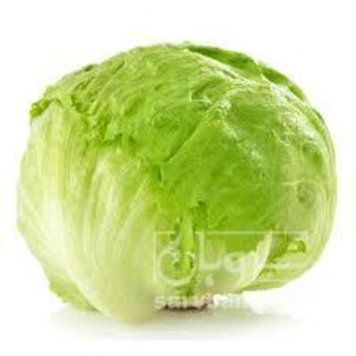 فروش کاهو ایسبرگ - آیسبرگ