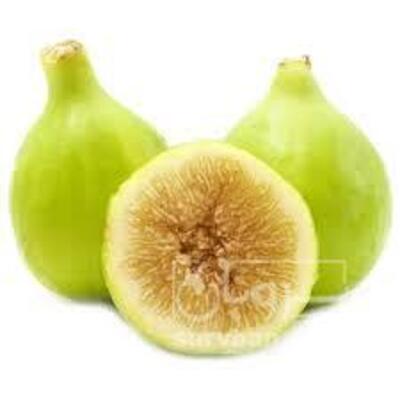 فروش انجیر