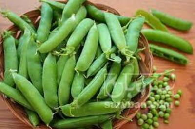 فروش نخود فرنگی