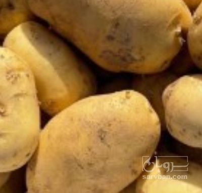 فروش سیب زمینی
