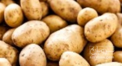 فروش سیب زمینی