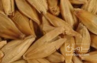 فروش جو