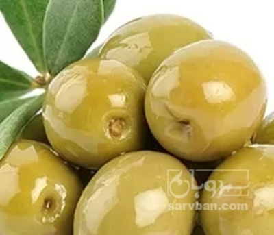 فروش زیتون