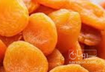 فروش برگه قیسی