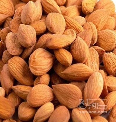 فروش هسته زردآلو شیرین