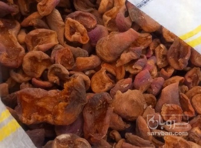 فروش برگه زردآلو