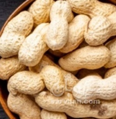 فروش بادام زمینی با قلاف