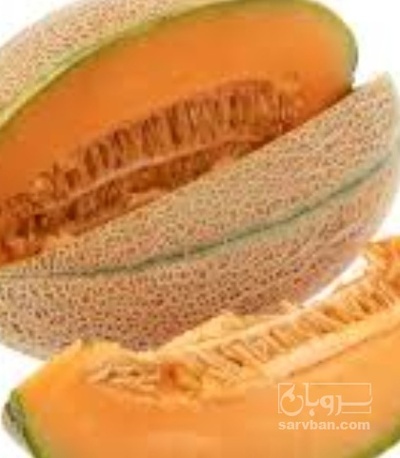 فروش طالبی جانا