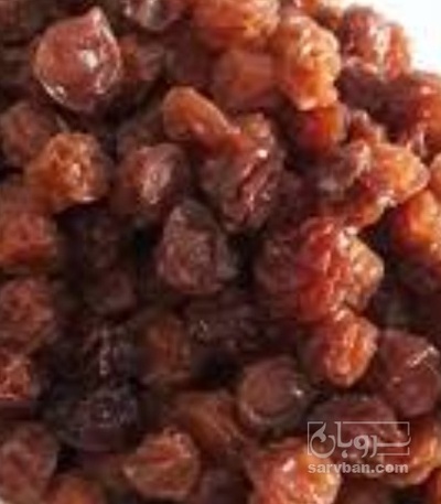 فروش آلوچه ریز