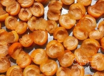 فروش برگه قیسی