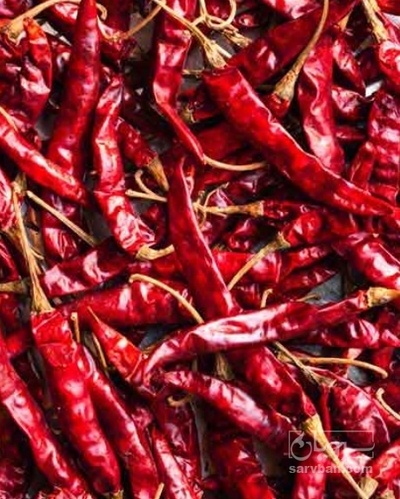 فروش فلفل خشک