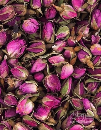 فروش گل محمدی (گیاه‌ دارویی)