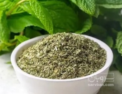 فروش نعناع خشک (گیاه‌ دارویی)