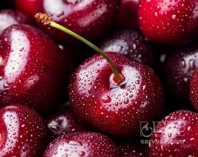 فروش گیلاس خوشه ایی