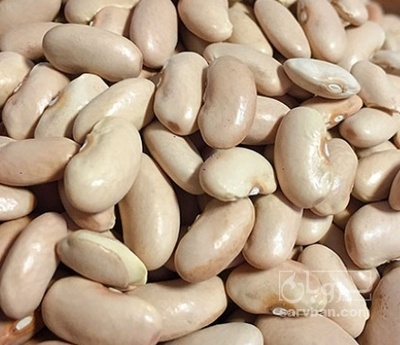 فروش لوبیا سفید
