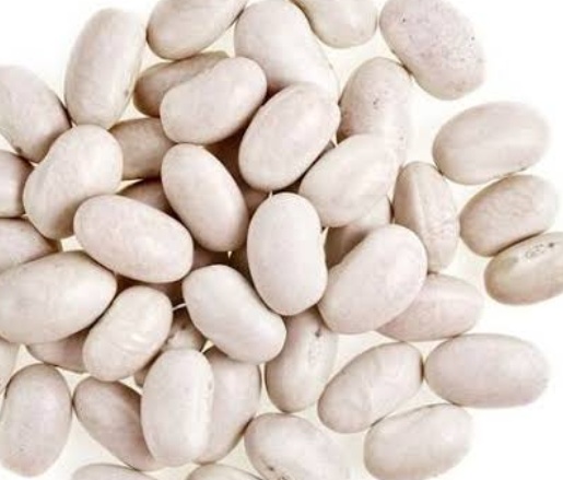 فروش لوبیا سفید
