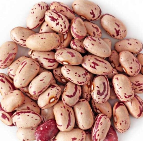 فروش لوبیا چیتی